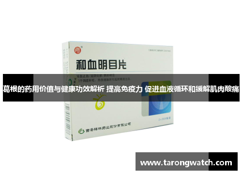 葛根的药用价值与健康功效解析 提高免疫力 促进血液循环和缓解肌肉酸痛