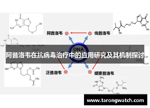 阿昔洛韦在抗病毒治疗中的应用研究及其机制探讨